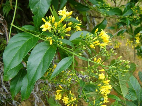 doc duoc trong phim co trang trung quoc co that khong? hinh anh 1