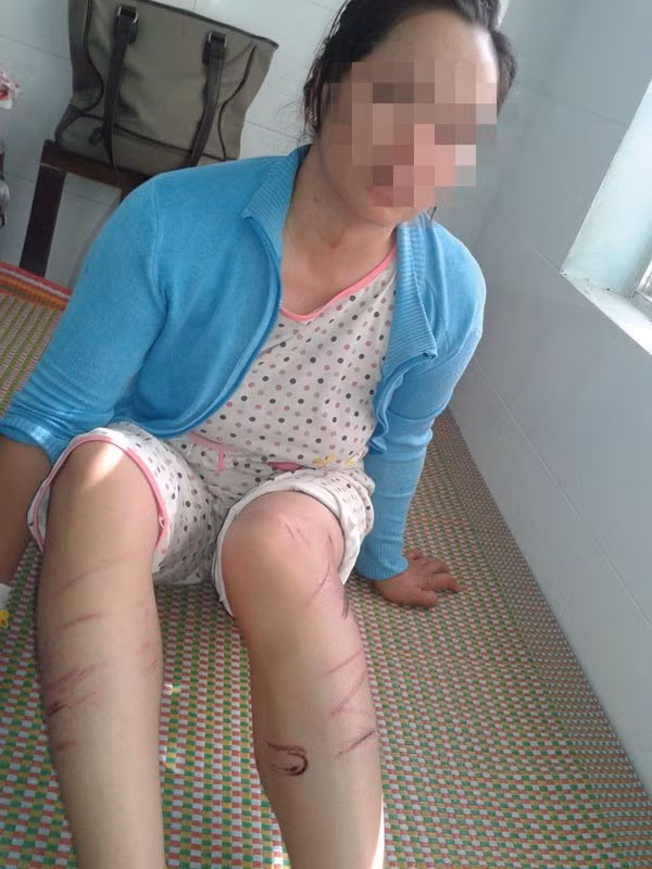 đánh vợ, bạo hành