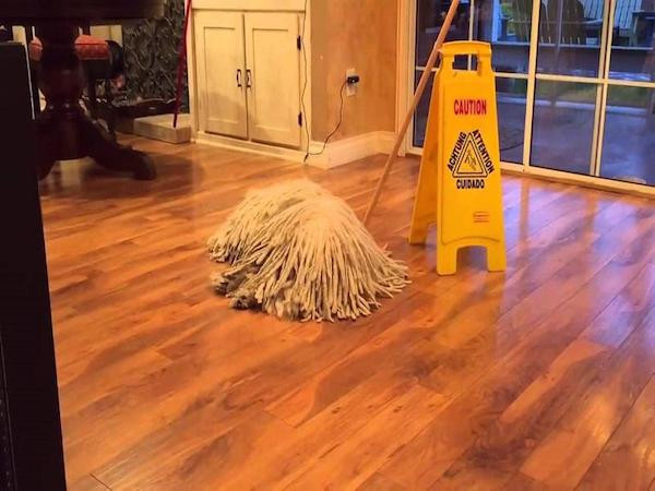 Phải dụi mắt vài lần bạn mới tìm ra được những thú cưng biết ngụy trang cực siêu này ảnh 2 Phải dụi mắt vài lần bạn mới tìm ra được những thú cưng biết ngụy trang cực siêu này ảnh 2