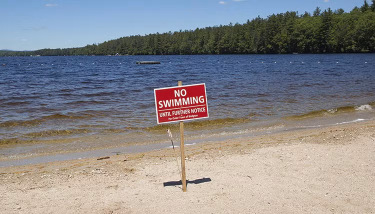 Gần 100 người đi bơi ở bãi biển bị nhiễm loại virus này: Lời cảnh báo dành cho cả những người đi bơi ở bể bơi - Ảnh 2.