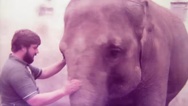 Voi Kristy bên người quản tượng Peter vào những năm cuối thập niên 80.