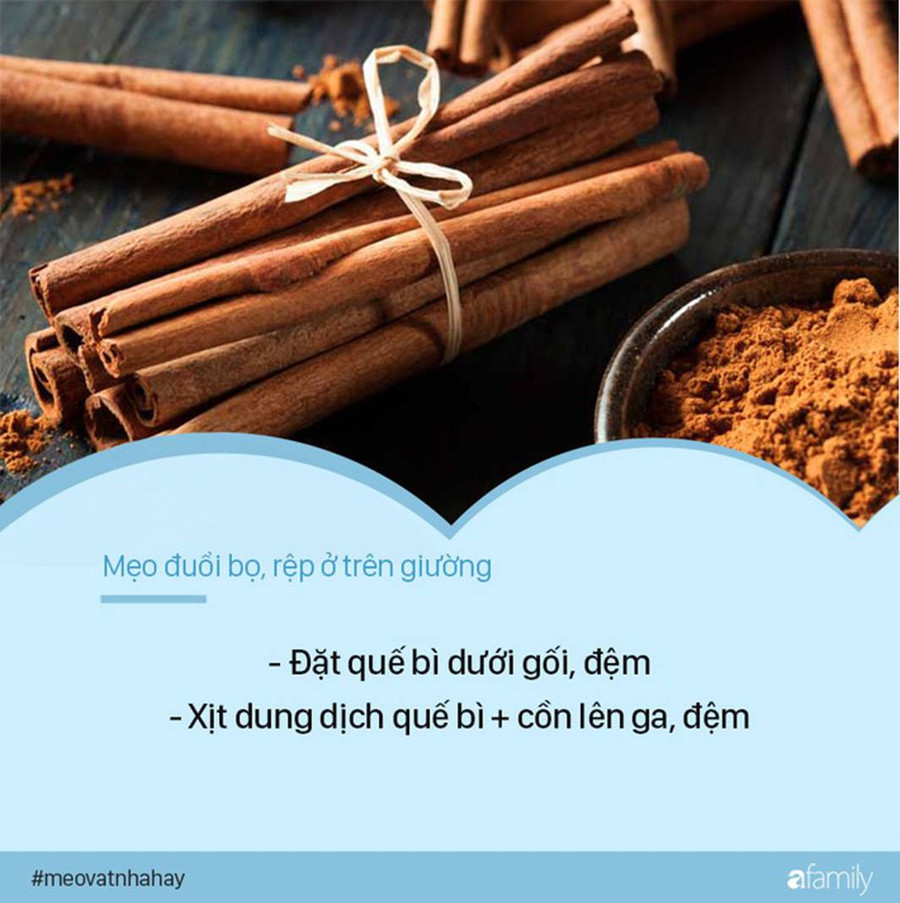 Bọ rệp giường hoành hành ngày mưa ẩm, chỉ cần nguyên liệu này thôi là có thể đánh bay bọn chúng, đặc biệt là số 1-2