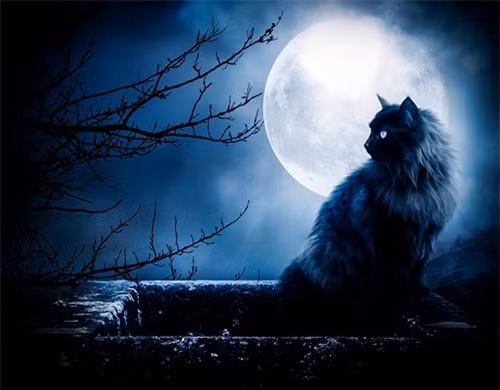 Điềm báo phong thủy vận đen sắp bủa vây, cẩn trọng nếu không muốn hao tài tán của