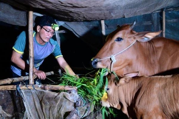 Nhiều đối tượng đã được trợ giúp bằng cách cho vay vốn, hướng dẫn cách làm ăn. Ảnh minh hoạ.