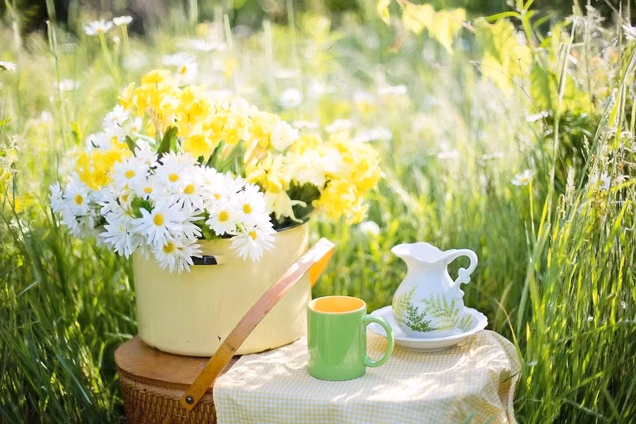  Bạch Dương vận đỏ vây quanh, Cự Giải ngập tràn tình yêu ngày 30/5