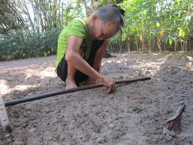 Cụ Lu tranh thủ cuốc đất trồng rau Cụ Lu tranh thủ cuốc đất trồng rau