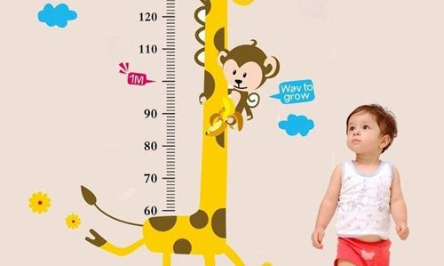 Thời điểm vàng "bón thúc" cho con cao lớn