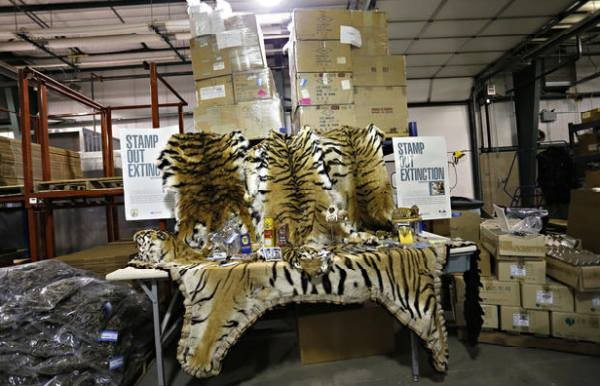 151110tgdvat12-91b22