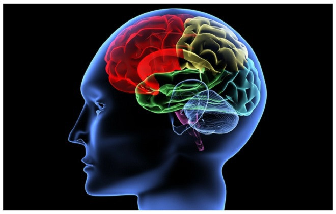 Sự cô đơn tác động lên não bộ như thế nào ảnh 3