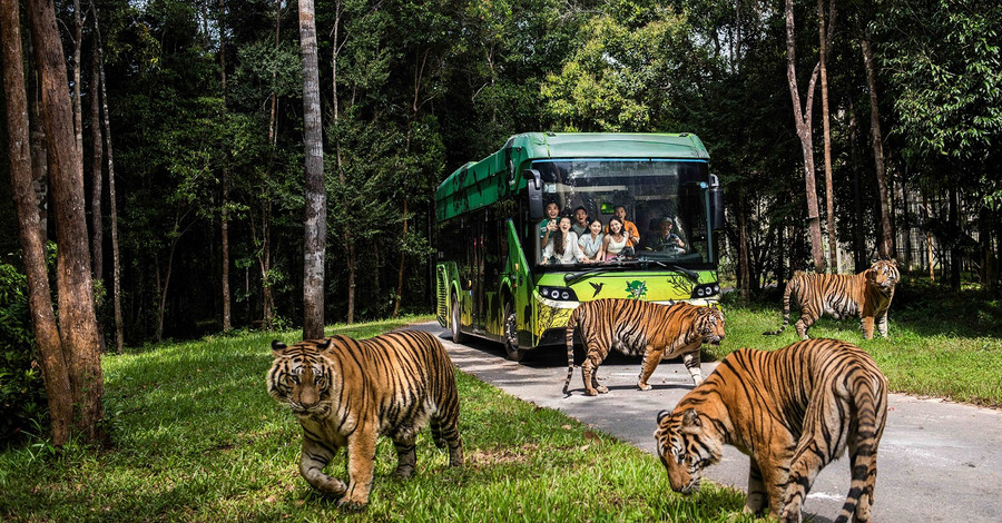 Vinpearl Safari Phú Quốc đạt kỷ lục Safari trên đảo đa dạng loài với số lượng cá thể nhiều nhất Thế giới Vinpearl Safari Phú Quốc đạt kỷ lục Safari trên đảo đa dạng loài với số lượng cá thể nhiều nhất Thế giới