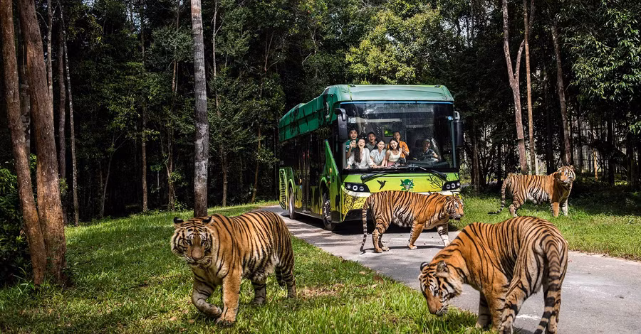 Vinpearl Safari Phú Quốc đạt kỷ lục Safari trên đảo đa dạng loài với số lượng cá thể nhiều nhất Thế giới
