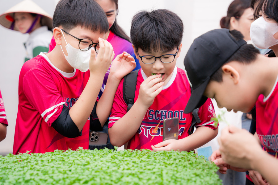 Các bạn học sinh được “tận tay" thưởng thức những “bé" rau mầm ngay tại vườn. Một bạn chia sẻ rằng, trước đây bạn chưa từng được trải nghiệm “ăn" rau ngay tại vườn. Các bạn học sinh được “tận tay" thưởng thức những “bé" rau mầm ngay tại vườn. Một bạn chia sẻ rằng, trước đây bạn chưa từng được trải nghiệm “ăn" rau ngay tại vườn.