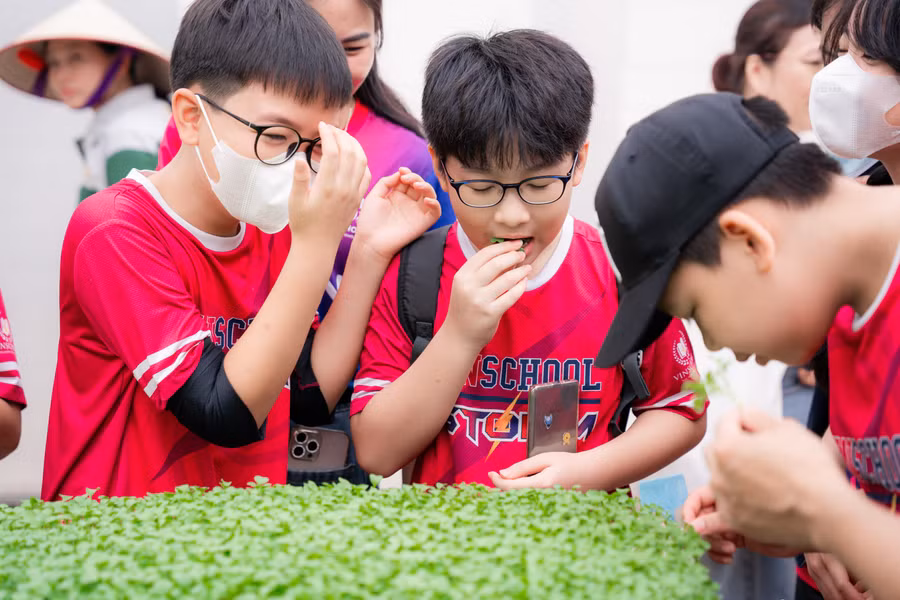 Các bạn học sinh được “tận tay" thưởng thức những “bé" rau mầm ngay tại vườn. Một bạn chia sẻ rằng, trước đây bạn chưa từng được trải nghiệm “ăn" rau ngay tại vườn.