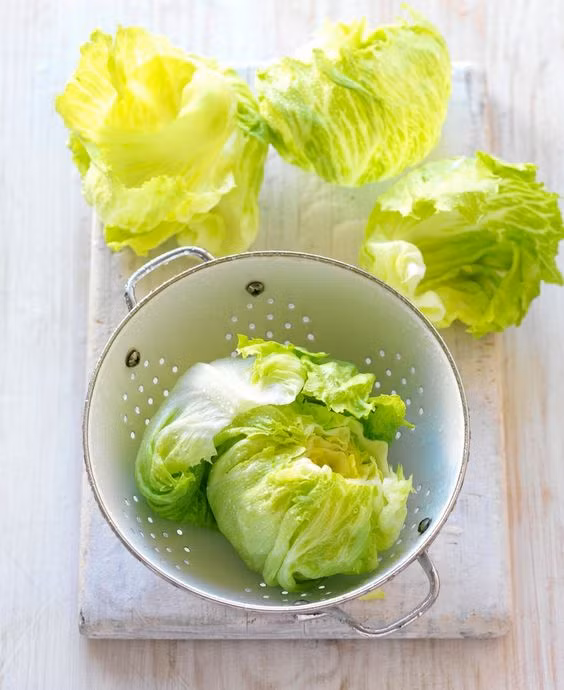 Xà lách iceberg Xà lách iceberg