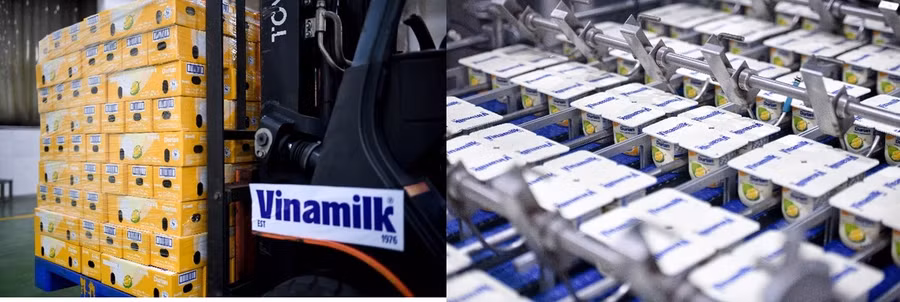 Sữa chua hương vị sầu riêng của Vinamilk xuất khẩu sang thị trường Trung Quốc.