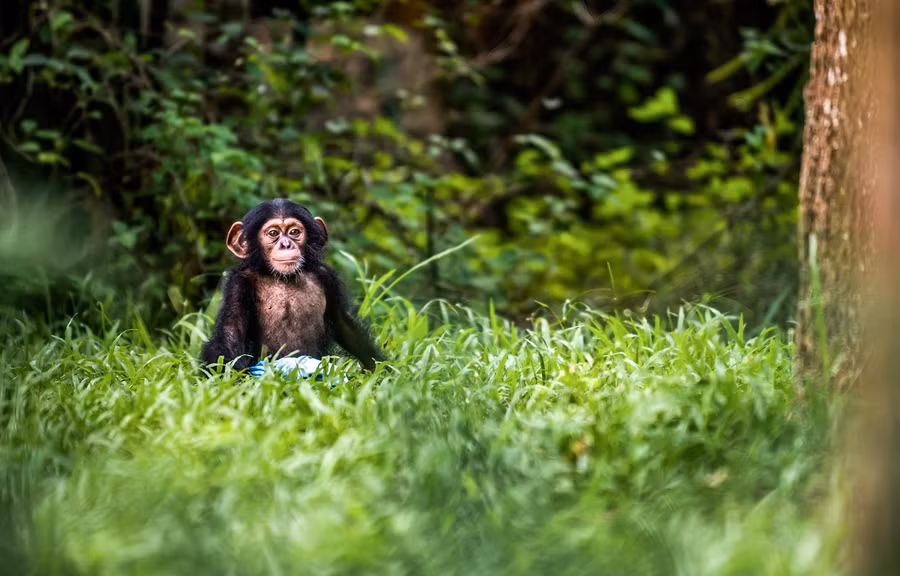 Bé “Mây” trở thành nhân vật “truyền cảm hứng” luôn được “fan” săn đón