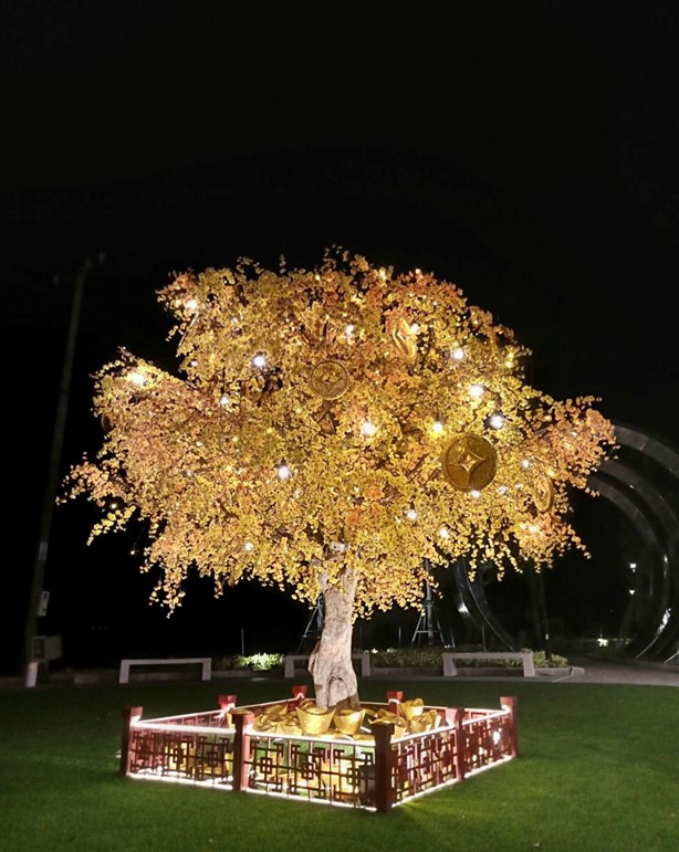 Cây mai “thần tài” khổng lồ cầu chúc cho năm mới thịnh vượng và đủ đầy