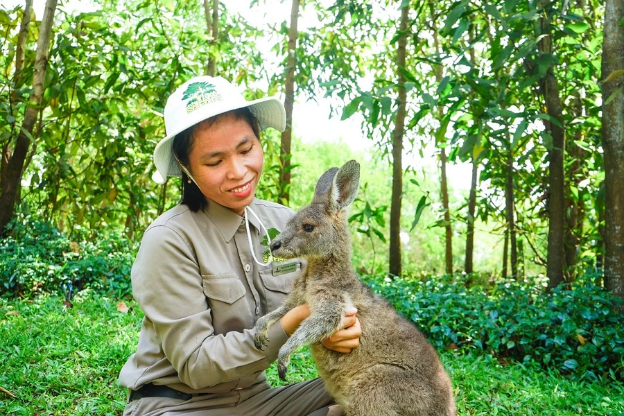 Những 'bảo mẫu lênh đênh ngày đêm' cùng động vật hoang dã ở River Safari