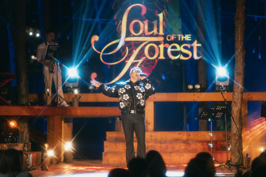Đêm nhạc Soul of the Forest 'Tình đầu' lãng mạn và đầy cuốn hút ảnh 1