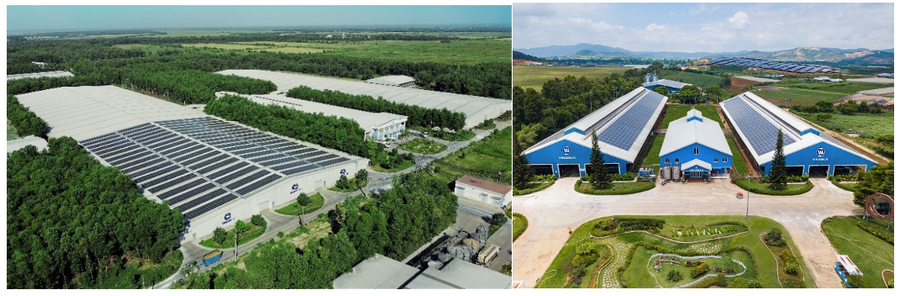 Các trang trại Vinamilk Green Farm đều sử dụng năng lượng mặt trời, góp phần làm giảm thiểu ảnh hưởng biến đổi khí hậu.