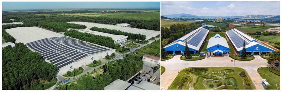 Các trang trại Vinamilk Green Farm đều sử dụng năng lượng mặt trời, góp phần làm giảm thiểu ảnh hưởng biến đổi khí hậu.