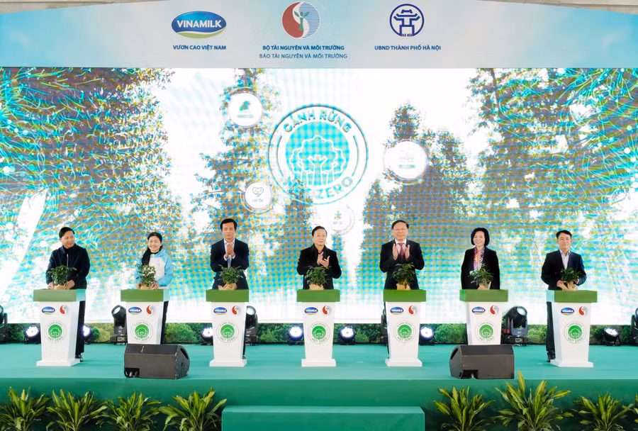 Phó Thủ tướng Trần Hồng Hà cùng các đại biểu thực hiện nghi thức khởi động dự án trồng cây hướng đến Net Zero
