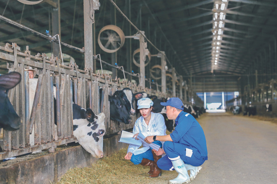 Trụ cột 6 Phúc lợi động vật