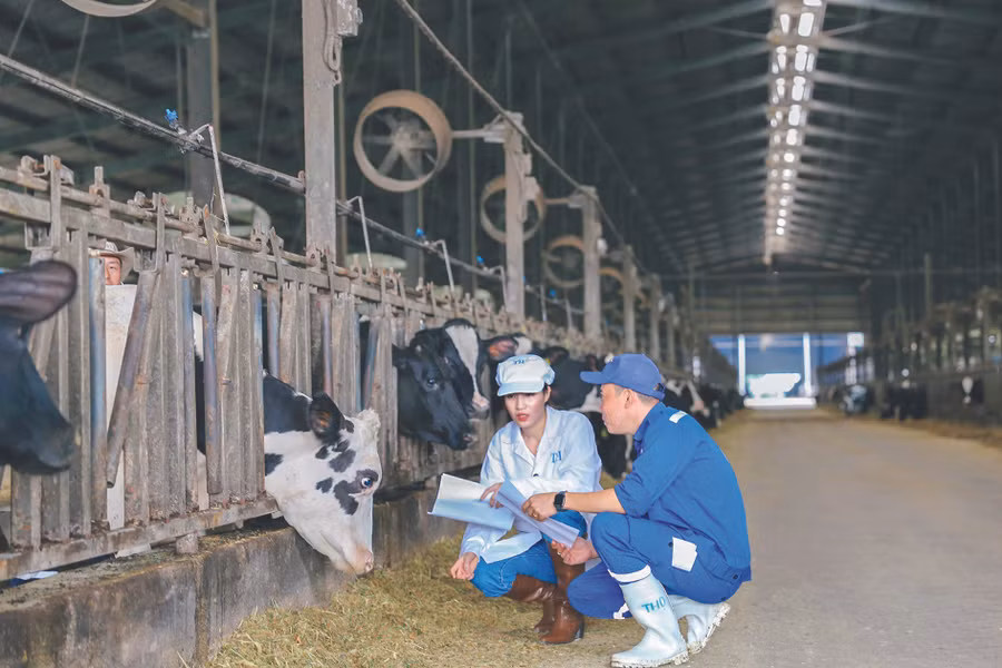 Trụ cột 6 Phúc lợi động vật