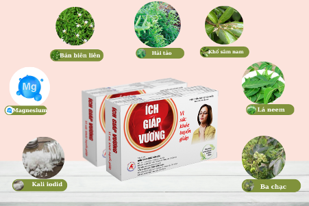 Ích Giáp Vương giúp cải thiện suy giáp hiệu quả.