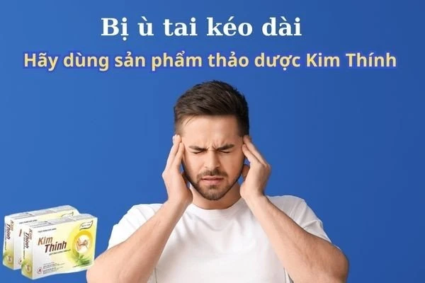 Thảo dược Kim Thính hỗ trợ bị ù tai kéo dài