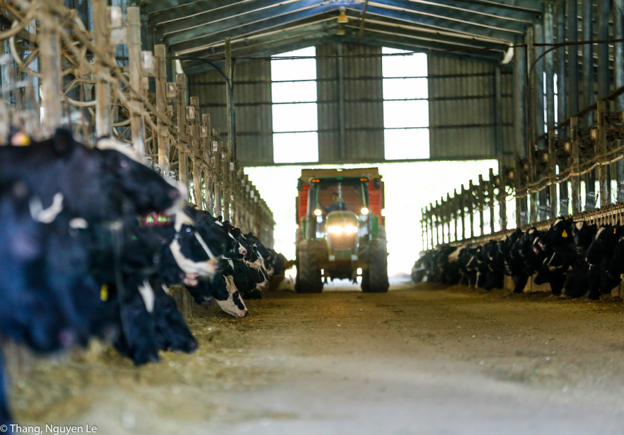 Ngân hàng Bắc Á đồng hành cùng nhiều dự án nông nghiệp công nghệ cao trong vai trò tư vấn đầu tư. Ngân hàng Bắc Á đồng hành cùng nhiều dự án nông nghiệp công nghệ cao trong vai trò tư vấn đầu tư.