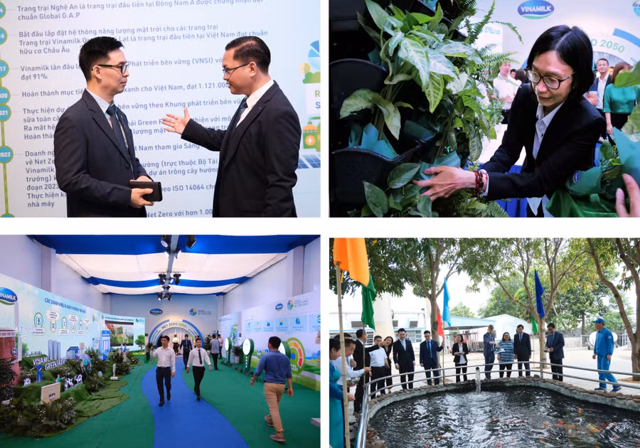 Một số hoạt động bên lề sự kiện: góp cây xanh, tìm hiểu thông tin, tham quan hồ cá Koi sử dụng nước thải đã qua xử lý của nhà máy.