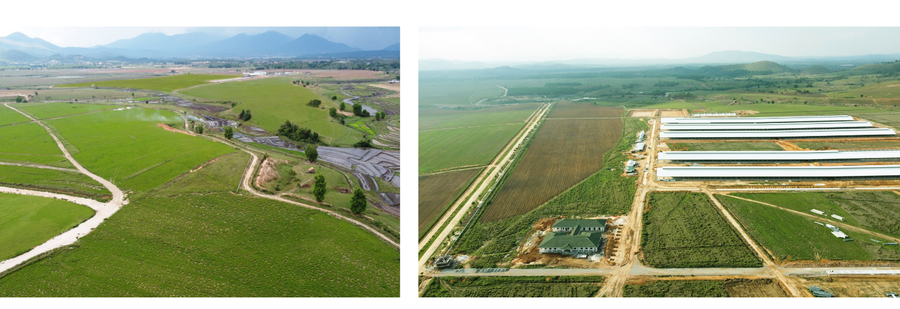 Siêu trang trại Lào Jagro tại Lào với quy mô lên đến 100.000 con bò. Siêu trang trại Lào Jagro tại Lào với quy mô lên đến 100.000 con bò.