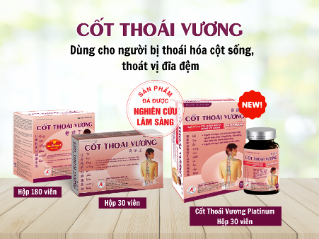 TPBVSK Cốt Thoái Vương hỗ trợ cải thiện các triệu chứng thoát vị đĩa đệm hiệu quả
