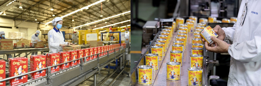 Với dây chuyền sản xuất hiện đại, sản lượng lớn, sữa đặc Ông Thọ hiện có thể đáp ứng nhu cầu cả trong nước và xuất khẩu.