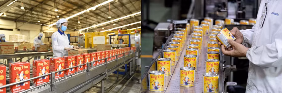 Với dây chuyền sản xuất hiện đại, sản lượng lớn, sữa đặc Ông Thọ hiện có thể đáp ứng nhu cầu cả trong nước và xuất khẩu.