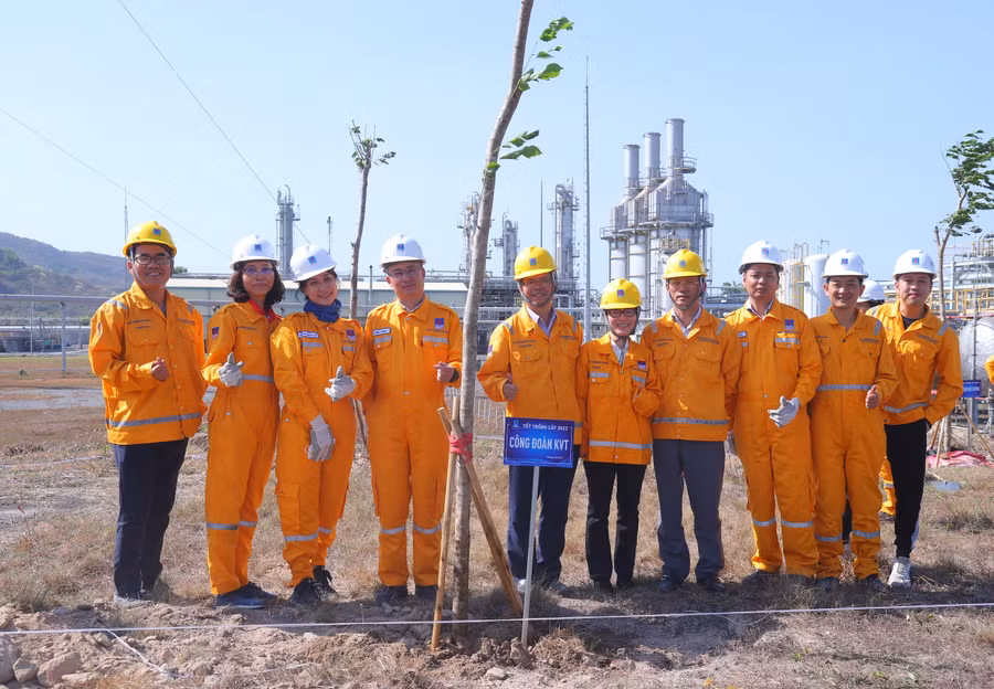 Ban Lãnh đạo Công đoàn KVT tham gia trồng cây.