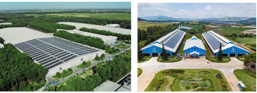 Tất cả các trang trại của Vinamilk đã hoàn thiện lắp đặt hệ thống năng lượng mặt trời từ năm 2020 Tất cả các trang trại của Vinamilk đã hoàn thiện lắp đặt hệ thống năng lượng mặt trời từ năm 2020