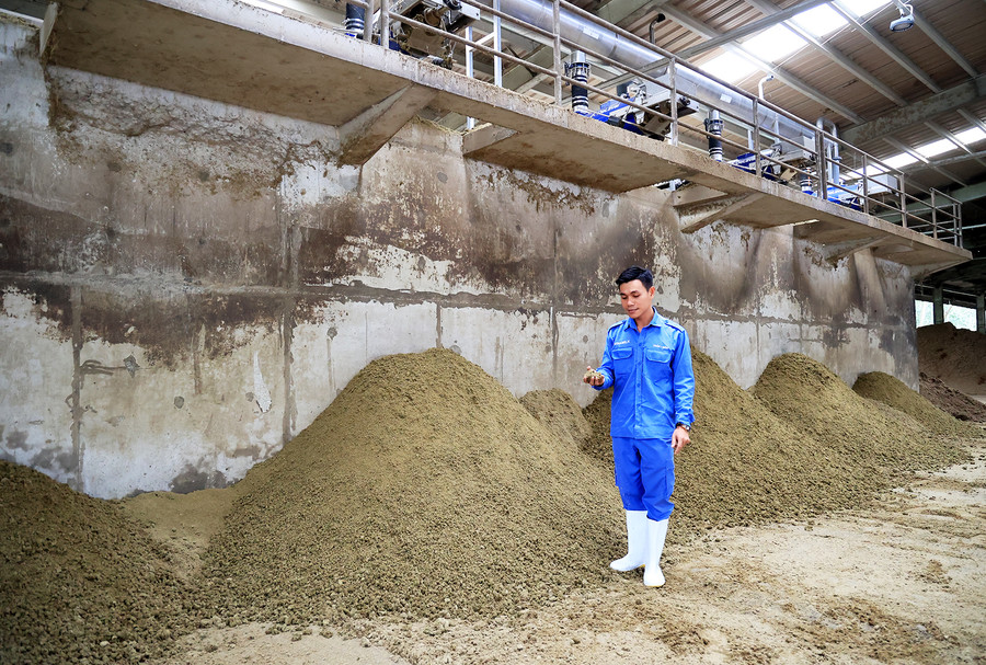 Chất thải đàn bò được xử lý thành phân bón cho đồng cỏ, hạn chế phát thải, mùi hôi, ruồi muỗi. (Nguồn: Hồng Đạt) Chất thải đàn bò được xử lý thành phân bón cho đồng cỏ, hạn chế phát thải, mùi hôi, ruồi muỗi. (Nguồn: Hồng Đạt)