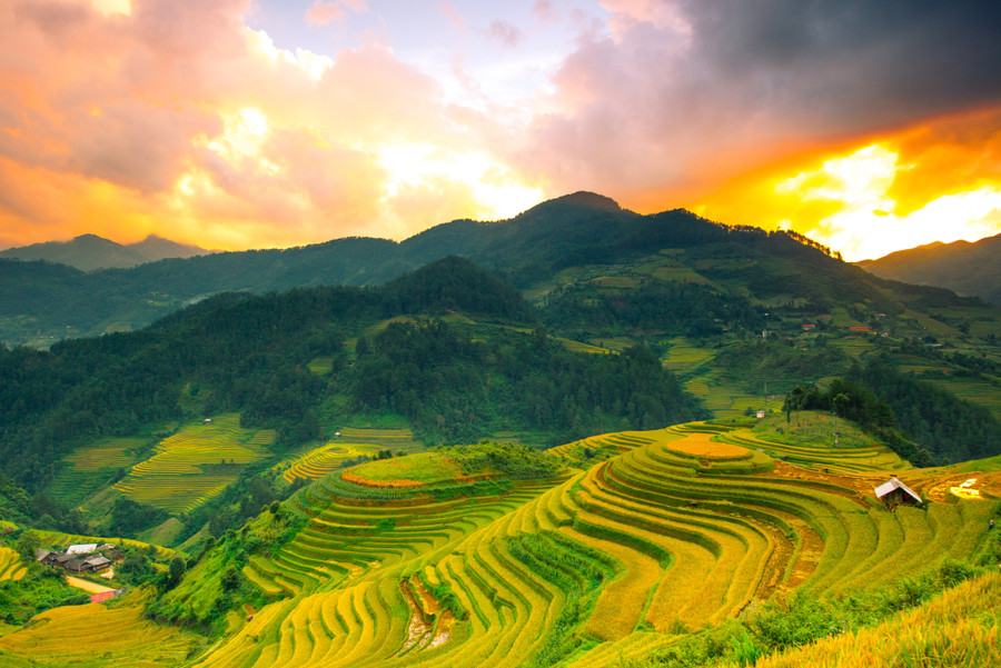 Khung cảnh mùa vàng vùng cao qua ống kính của những nhiếp ảnh gia. Khung cảnh mùa vàng vùng cao qua ống kính của những nhiếp ảnh gia.