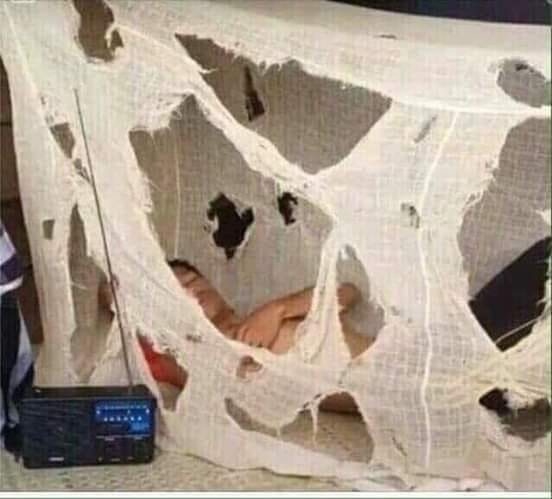 Lấy vợ có phải đỡ khổ rồi không Lấy vợ có phải đỡ khổ rồi không