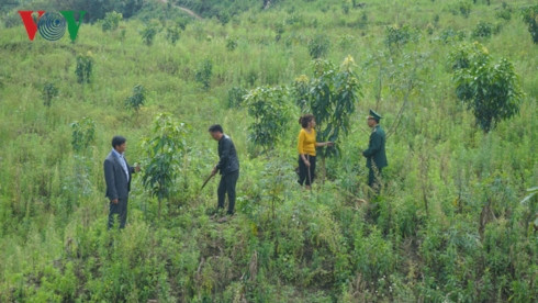 đổi thay ở nơi con sông hồng chảy vào đất việt hình 1 doi thay o noi con song hong chay vao dat viet hinh 1