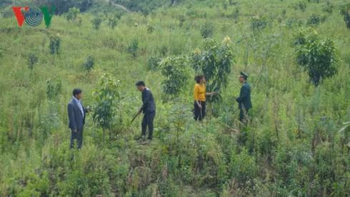 doi thay o noi con song hong chay vao dat viet hinh 1