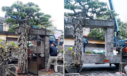 Ông Tình mua cả cây, cả cổng và cửa sắt, chỉ trừ lại duy nhất... biển số nhà. Ảnh: Hoàng Vinh.