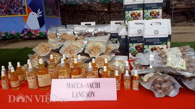 dac san xu lang hap dan phong vien tac nghiep thuong dinh my-trieu hinh anh 7