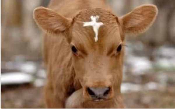 Những vết bớt kỳ lạ khiến bạn ngỡ ngàng khi nhìn thấy - Ảnh 6.