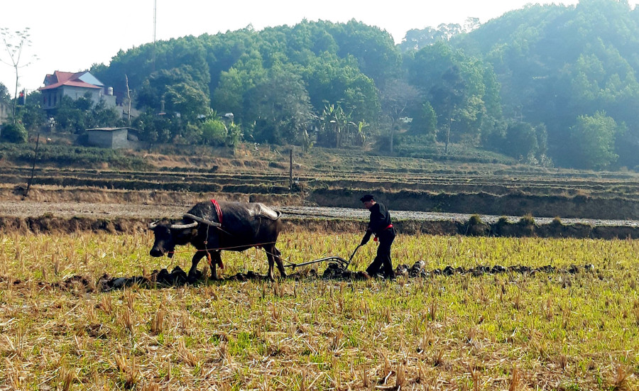 Lễ tịch điền, nghi lễ quan trọng trong Lễ hội Lồng Tồng, để cầu mùa màng bội thu. Lễ tịch điền, nghi lễ quan trọng trong Lễ hội Lồng Tồng, để cầu mùa màng bội thu.