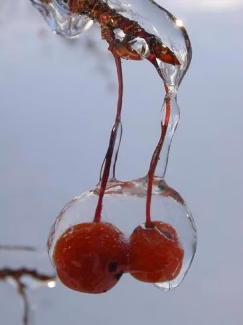 "Đóng băng" cái đẹp ảnh 6