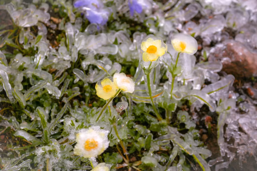 "Đóng băng" cái đẹp ảnh 2