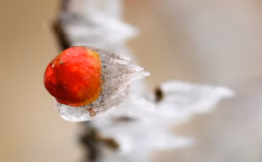 "Đóng băng" cái đẹp ảnh 10